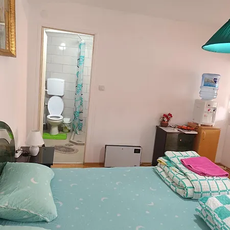 Vila Jovana A Rogljevo Room photo